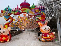 -沈阳奥体冰雪嘉年华