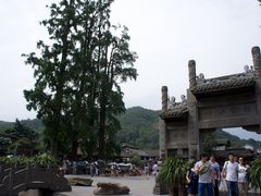 银杏树和牌坊-崇州市街子古镇