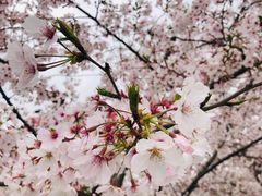 -龙美术馆西岸馆-停车场