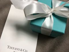 -Tiffany & Co.蒂芙尼
(广州太古汇店)