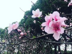 -美兰湖景区