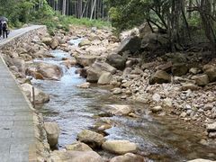 -姑婆山旅游区
