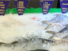 -骏莱海鲜鱼港(五角场店)