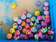 -前小桔亲子创意农场·草莓采摘·露营烧烤