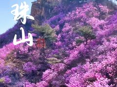-湛山寺