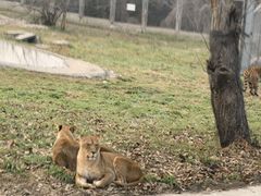 -西安秦岭野生动物园