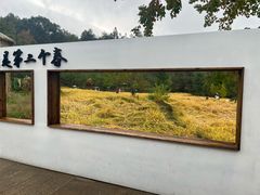 -塔川景区