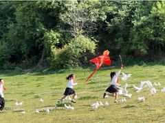 -西安小天鹅艺术团(曲江Alice店)