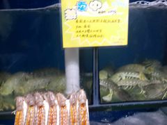 -蚝专家(北滘店)