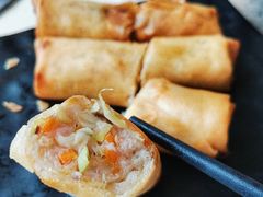 三丝炸春卷-海椰茶居(海印缤缤广场店)