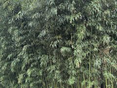 -北京奥林匹克公园