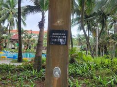 -海口喜来登酒店