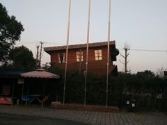 -金山农民画村-枫泾波兰倒置屋