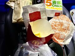 -枫花园汽车电影院(朝阳公园店)