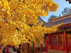 -承恩寺