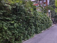 -斯多格书乡(北京大学畅春园店)