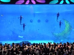 -汉堡王(海昌海洋公园店)