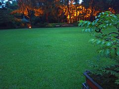 -申粤轩酒楼·三十年粤菜经典(丁香花园店)
