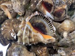 -兆辉木炭海鲜烧烤·海鲜小炒