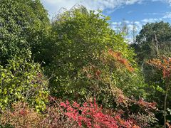 -张家港凤凰山景区河阳山歌馆