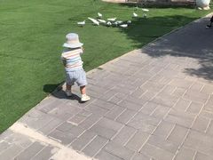 -北京鹿世界主题园