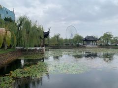 -无锡蠡湖国家湿地公园-蠡园