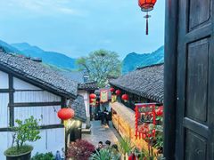 -后柳水乡