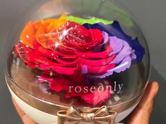 -ROSEONLY诺誓(国际广场购物中心店)