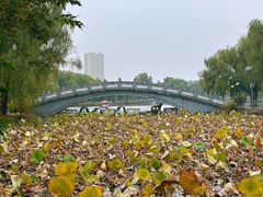 -二一九公园