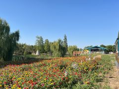 -祥源·阜阳生态乐园