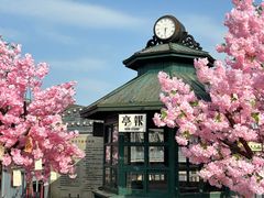 -武汉知音号