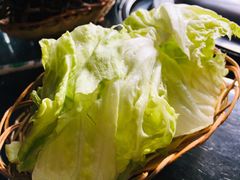 圆生菜-姥家大锅台水库渔家