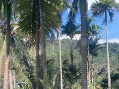 -海南槟榔谷黎苗文化旅游区