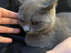 -猫咪派对(江南西店)