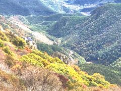 -白草畔自然风景区