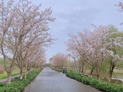 -长田漾湿地公园