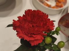 -小厨娘淮扬菜(江宁弘阳店)