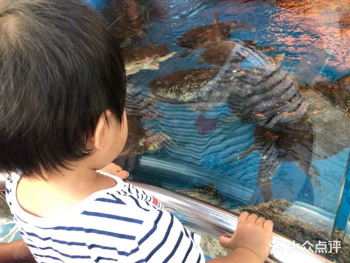 三亚海昌梦幻海洋不夜城图片