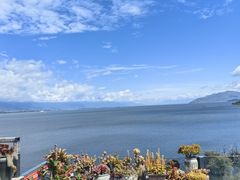 -野菌皇海景野生菌火锅(滨海大道店)