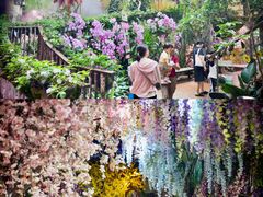 -正佳雨林生态植物园