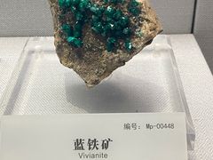 -湖南省地质博物馆