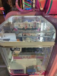 -卡通尼·Safari非洲探索乐园·生日会(金桥国际商业广场店)