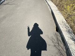 -佛慧山
