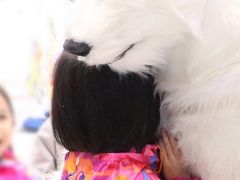 -Mr·Kuma酷么先生雪之乐园