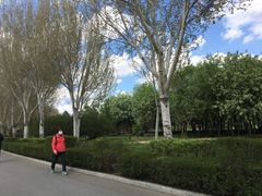 -长春公园(普阳街道)