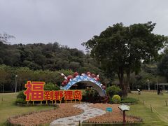 -野狸岛