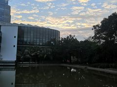 -深圳国际园林花卉博览园