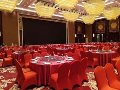 -龙子湖迎宾馆·宴会