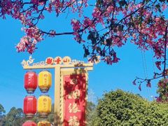 -东莞观音山旅游风景区