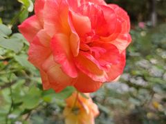 -共青国家森林公园-售票处